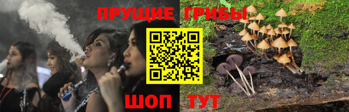 Псилоцибиновые грибы мицелий Тула